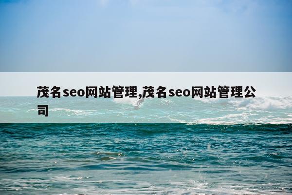 茂名seo网站管理,茂名seo网站管理公司