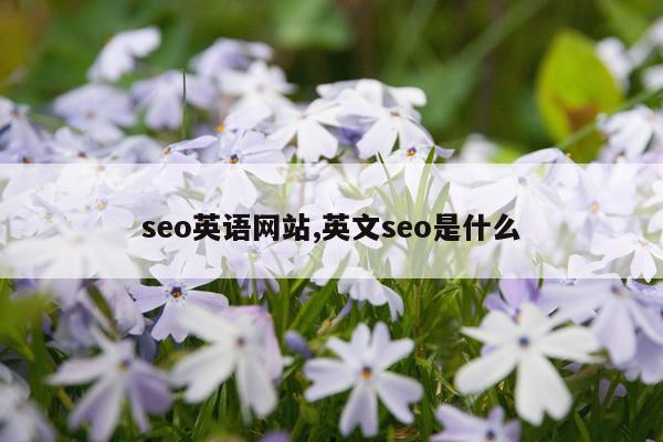 seo英语网站,英文seo是什么