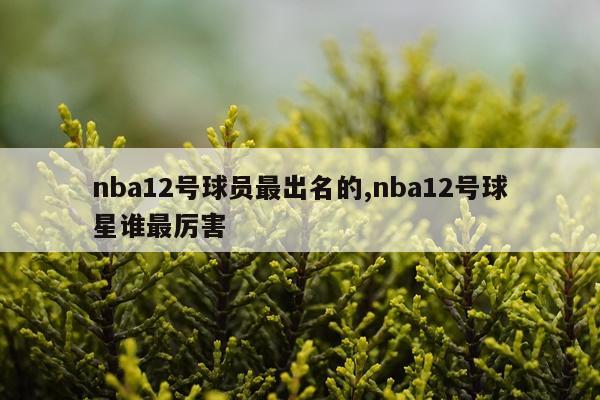 nba12号球员最出名的,nba12号球星谁最厉害