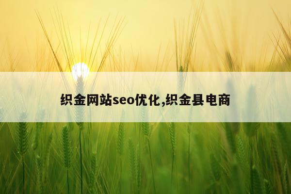 织金网站seo优化,织金县电商