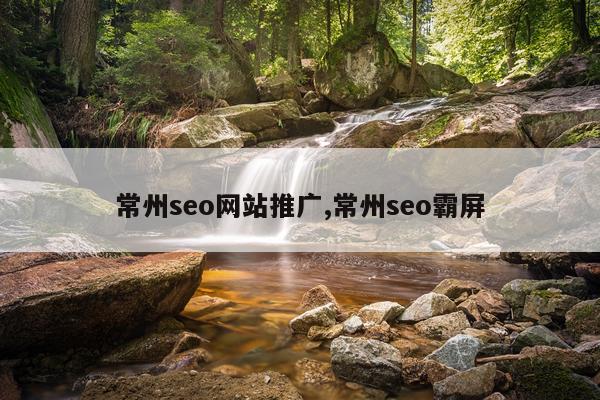 常州seo网站推广,常州seo霸屏