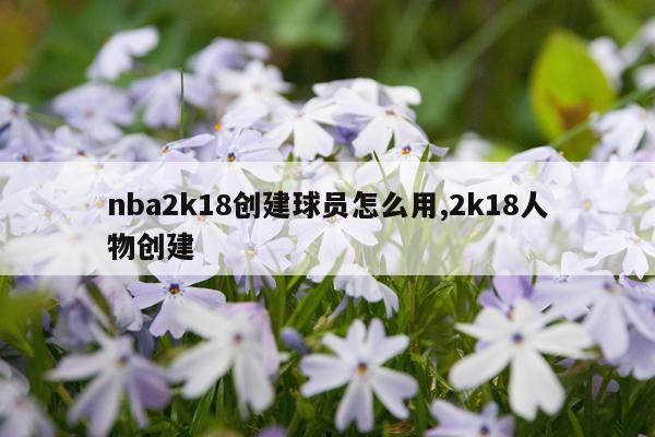 nba2k18创建球员怎么用,2k18人物创建