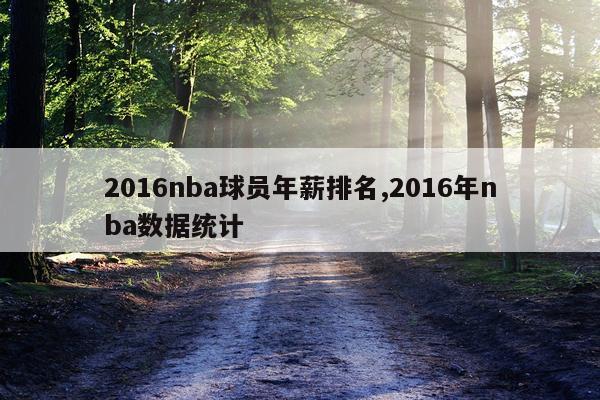 2016nba球员年薪排名,2016年nba数据统计