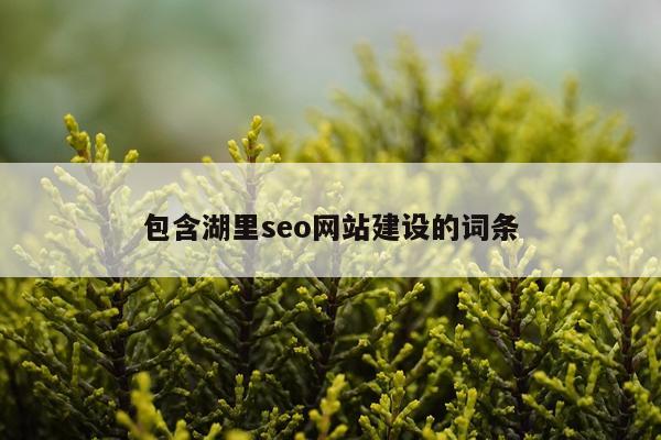 包含湖里seo网站建设的词条