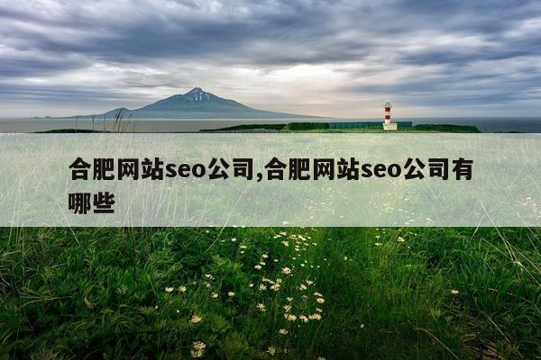 合肥网站seo公司,合肥网站seo公司有哪些