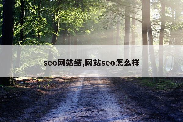 seo网站结,网站seo怎么样
