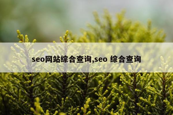 seo网站综合查询,seo 综合查询