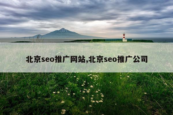 北京seo推广网站,北京seo推广公司