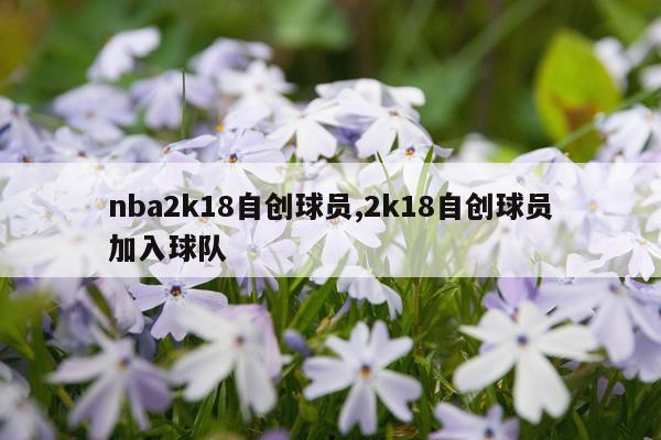 nba2k18自创球员,2k18自创球员加入球队