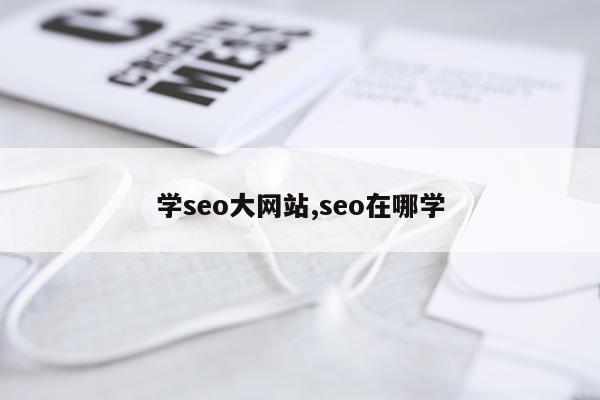 学seo大网站,seo在哪学