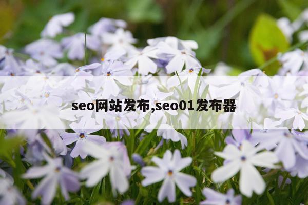 seo网站发布,seo01发布器