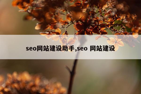 seo网站建设助手,seo 网站建设
