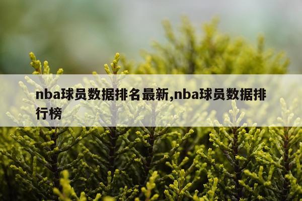 nba球员数据排名最新,nba球员数据排行榜