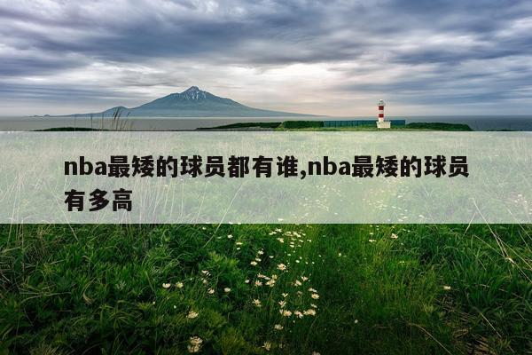 nba最矮的球员都有谁,nba最矮的球员有多高