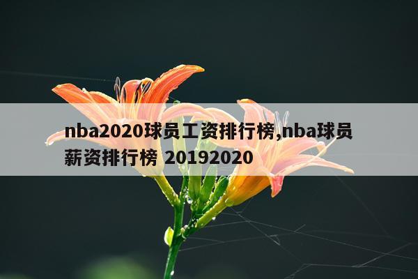 nba2020球员工资排行榜,nba球员薪资排行榜 20192020