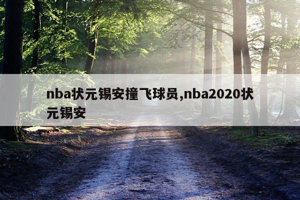 nba状元锡安撞飞球员,nba2020状元锡安