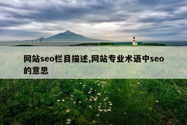 网站seo栏目描述,网站专业术语中seo的意思