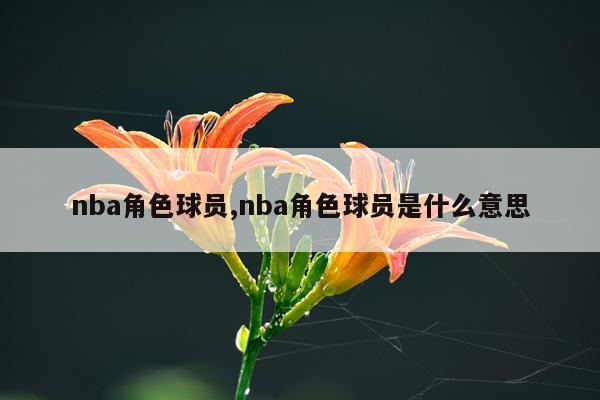 nba角色球员,nba角色球员是什么意思