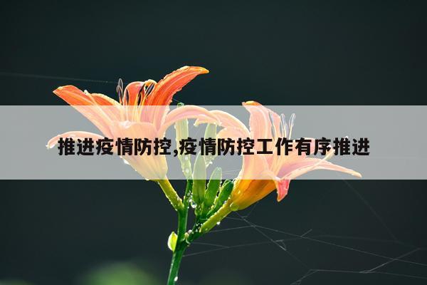 推进疫情防控,疫情防控工作有序推进