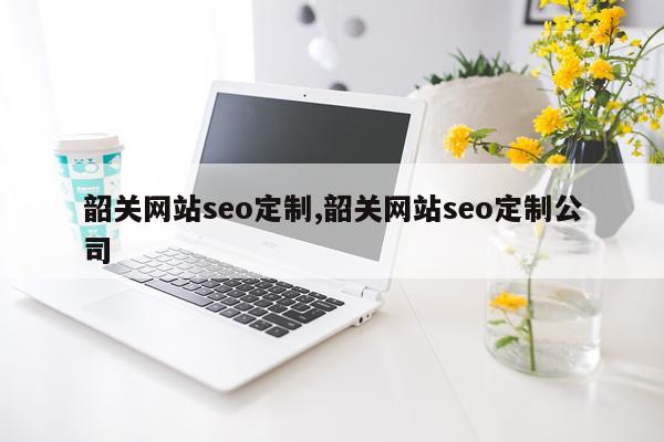 韶关网站seo定制,韶关网站seo定制公司