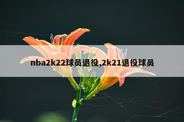 nba2k22球员退役,2k21退役球员