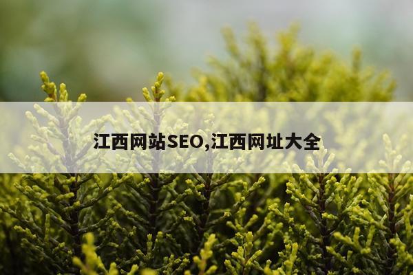 江西网站SEO,江西网址大全