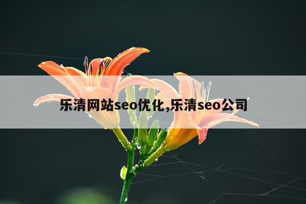 乐清网站seo优化,乐清seo公司