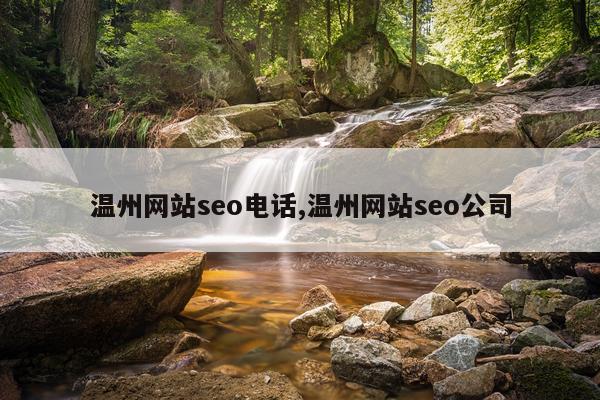 温州网站seo电话,温州网站seo公司