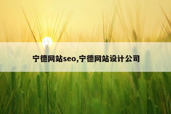 宁德网站seo,宁德网站设计公司