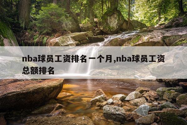 nba球员工资排名一个月,nba球员工资总额排名