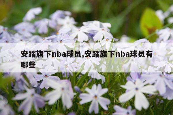 安踏旗下nba球员,安踏旗下nba球员有哪些