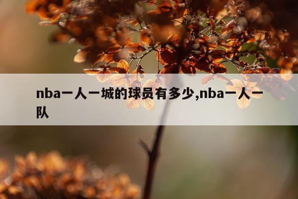 nba一人一城的球员有多少,nba一人一队