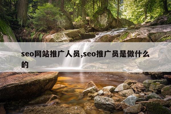seo网站推广人员,seo推广员是做什么的