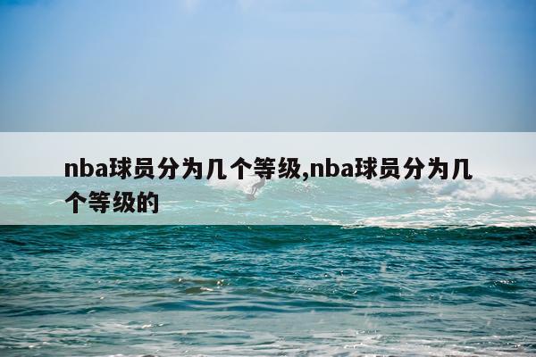 nba球员分为几个等级,nba球员分为几个等级的