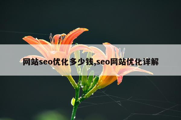 网站seo优化多少钱,seo网站优化详解