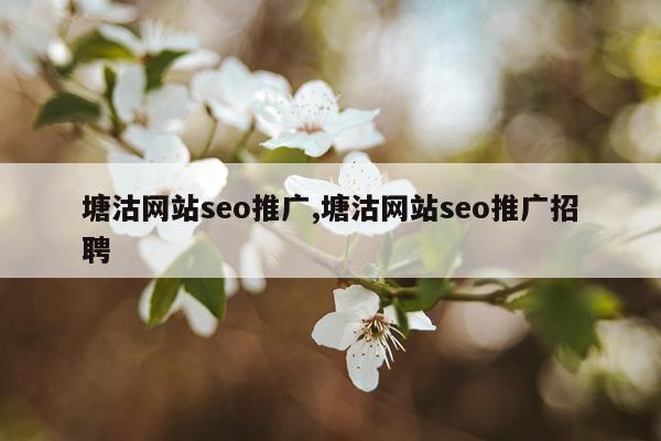 塘沽网站seo推广,塘沽网站seo推广招聘