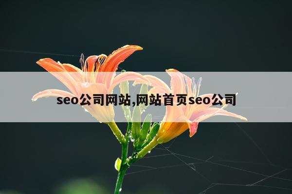 seo公司网站,网站首页seo公司