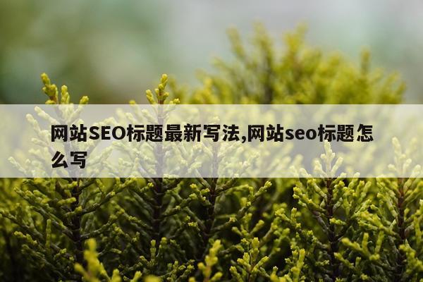 网站SEO标题最新写法,网站seo标题怎么写