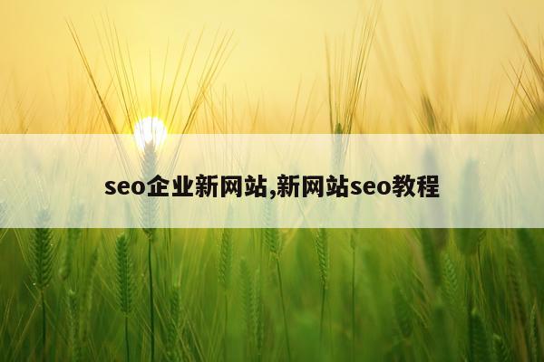 seo企业新网站,新网站seo教程
