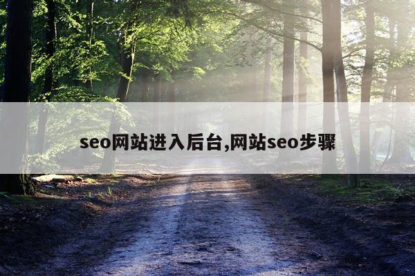 seo网站进入后台,网站seo步骤