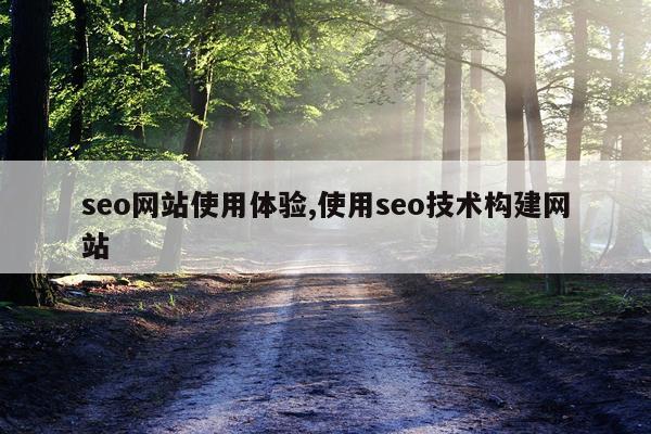 seo网站使用体验,使用seo技术构建网站