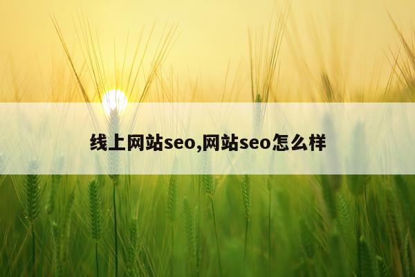 线上网站seo,网站seo怎么样