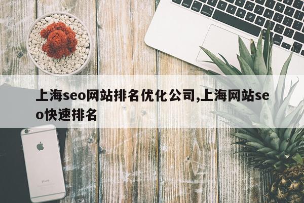 上海seo网站排名优化公司,上海网站seo快速排名