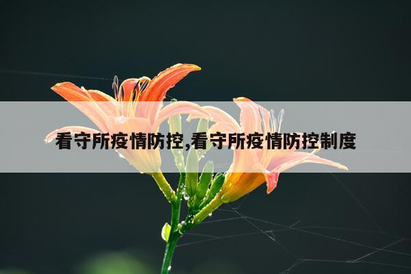 看守所疫情防控,看守所疫情防控制度