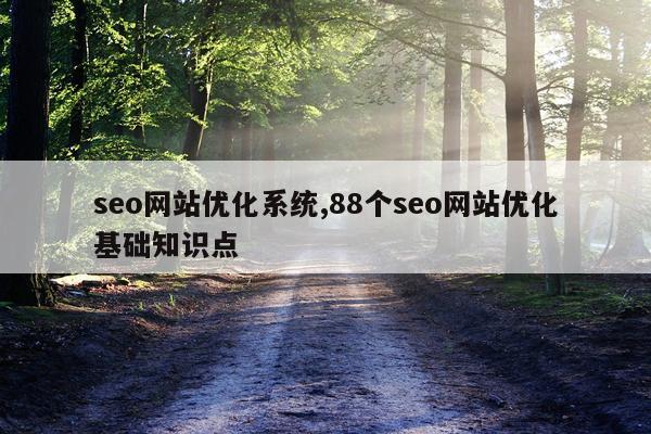 seo网站优化系统,88个seo网站优化基础知识点