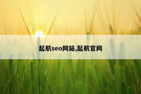 起航seo网站,起航官网
