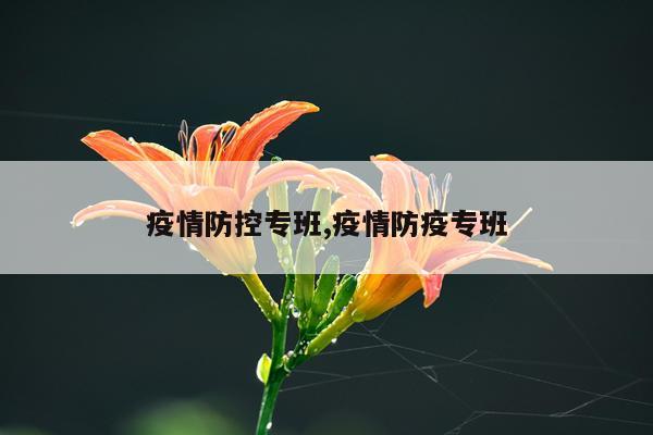 疫情防控专班,疫情防疫专班