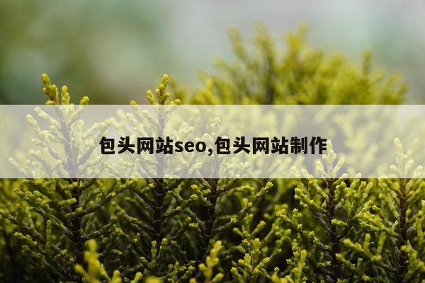 包头网站seo,包头网站制作