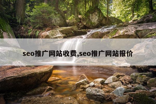 seo推广网站收费,seo推广网站报价