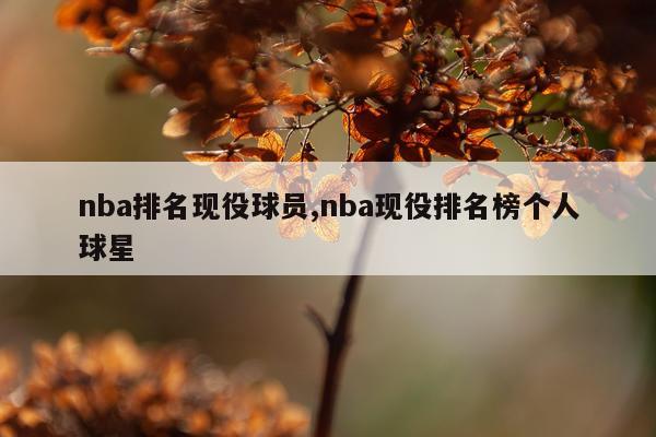 nba排名现役球员,nba现役排名榜个人球星